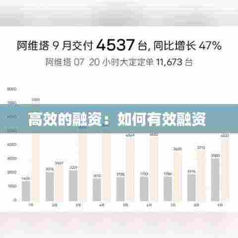 高效的融资:如何有效融资