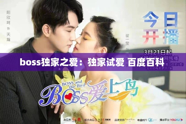 boss独家之爱：独家试爱 百度百科 