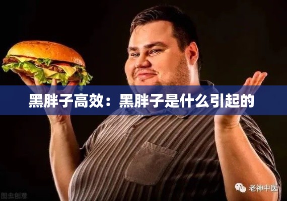 黑胖子高效:黑胖子是什么引起的
