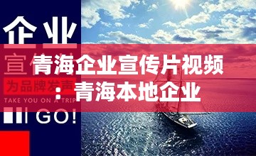 青海企业宣传片视频：青海本地企业 