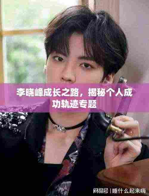 李晓峰成长之路,揭秘个人成功轨迹专题