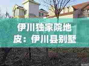 伊川独家院地皮:伊川县别墅