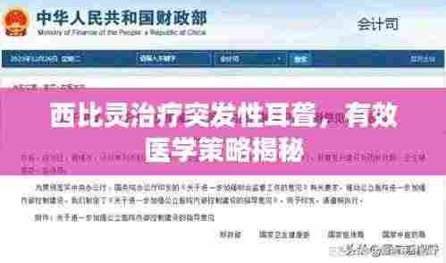 西比灵治疗突发性耳聋，有效医学策略揭秘