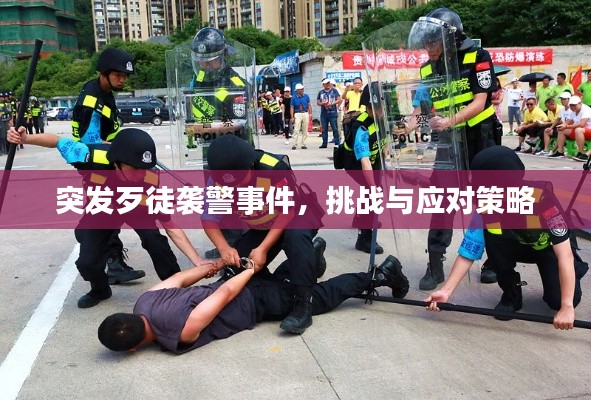 突发歹徒袭警事件,挑战与应对策略