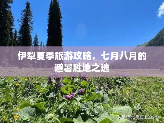 伊犁夏季旅游攻略，七月八月的避暑胜地之选