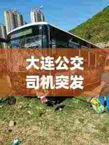 大连公交司机突发疾病:大连公交司机撞死学生事件