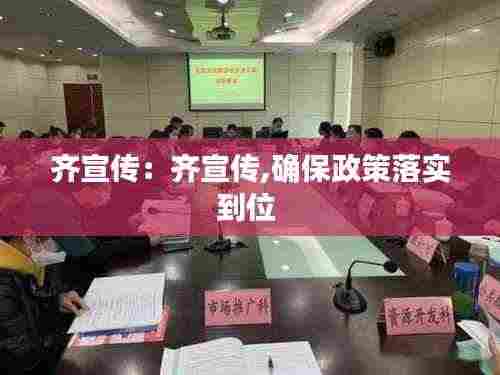 齐宣传：齐宣传,确保政策落实到位 