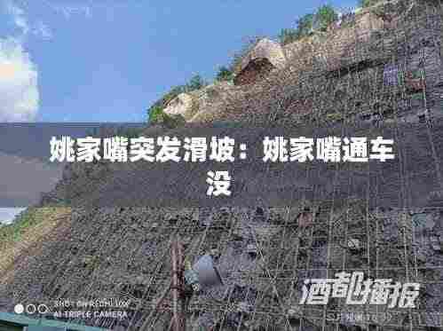 姚家嘴突发滑坡:姚家嘴通车没