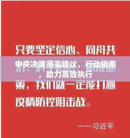 中央决策落实建议，行动指南，助力高效执行