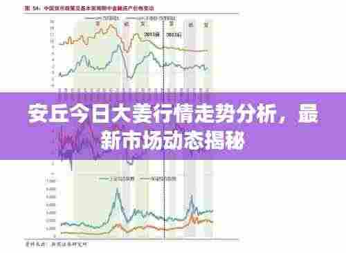 安丘今日大姜行情走势分析，最新市场动态揭秘