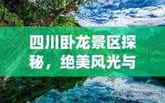 四川卧龙景区探秘,绝美风光与深度旅游攻略