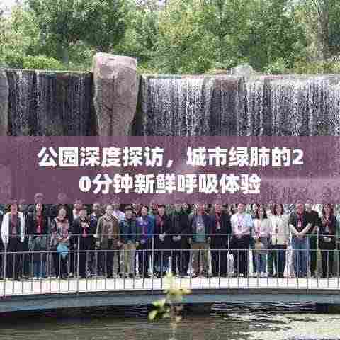 公园深度探访,城市绿肺的20分钟新鲜呼吸体验