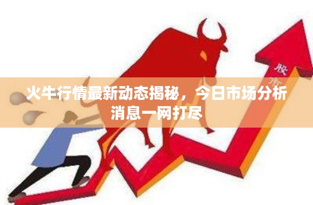 火牛行情最新动态揭秘，今日市场分析消息一网打尽
