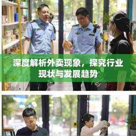 深度解析外卖现象，探究行业现状与发展趋势