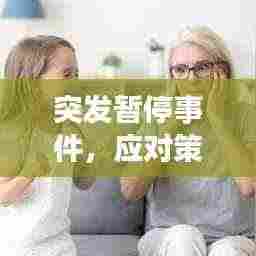 突发暂停事件,应对策略与深度反思