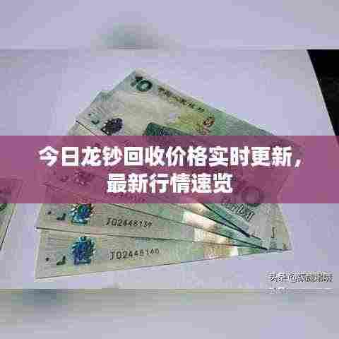 今日龙钞回收价格实时更新，最新行情速览