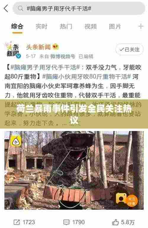 荷兰暴雨事件引发全民关注热议