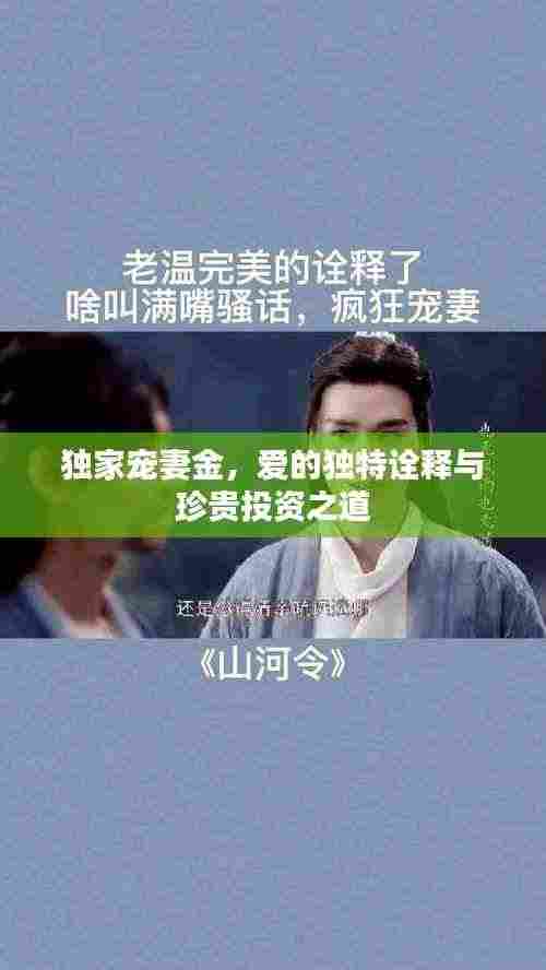 独家宠妻金,爱的独特诠释与珍贵投资之道