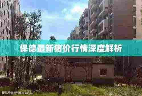 保德最新猪价行情深度解析