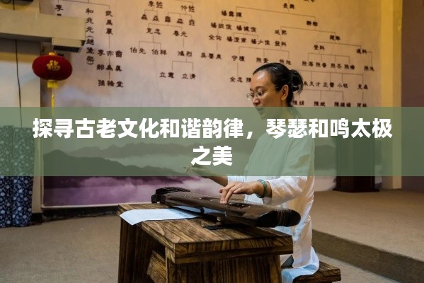 探寻古老文化和谐韵律,琴瑟和鸣太极之美
