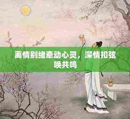 离情别绪牵动心灵,深情扣弦唤共鸣