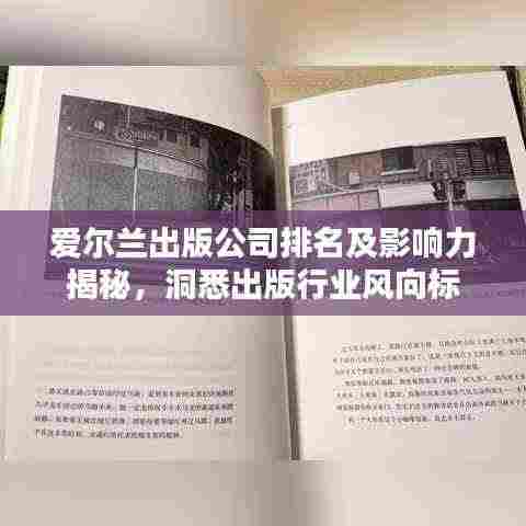 爱尔兰出版公司排名及影响力揭秘,洞悉出版行业风向标