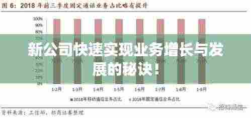 新公司快速实现业务增长与发展的秘诀!