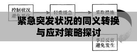 紧急突发状况的同义转换与应对策略探讨