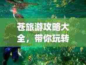 苍旅游攻略大全,带你玩转这片神秘之地!