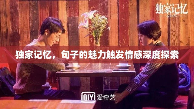 独家记忆,句子的魅力触发情感深度探索