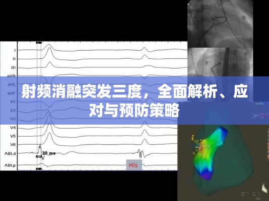 一飞冲天 第3页