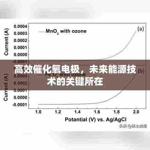 高效催化氧电极,未来能源技术的关键所在