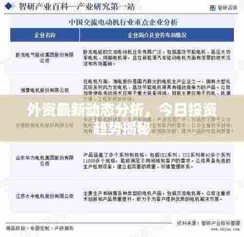 飞箭如蝗 第3页