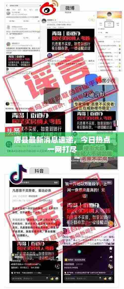 唐县最新消息速递，今日热点一网打尽