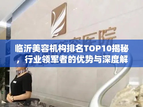 临沂美容机构排名TOP10揭秘，行业领军者的优势与深度解析
