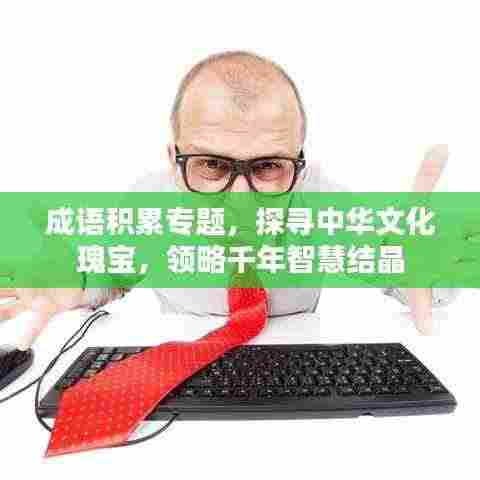 成语积累专题，探寻中华文化瑰宝，领略千年智慧结晶