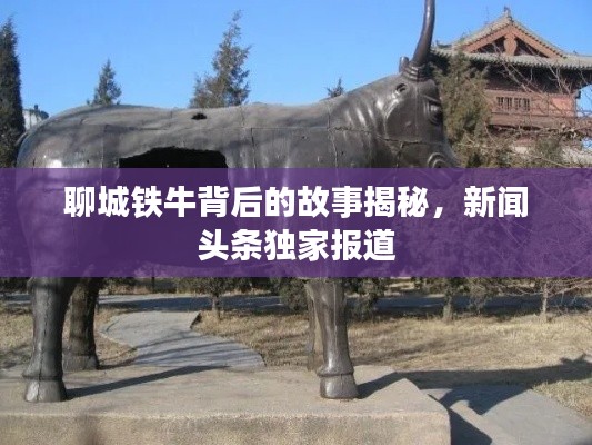 聊城铁牛背后的故事揭秘,新闻头条独家报道