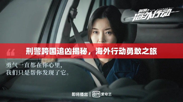 刑警跨国追凶揭秘,海外行动勇敢之旅
