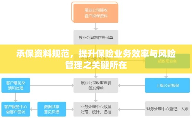 承保资料规范,提升保险业务效率与风险管理之关键所在