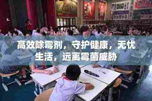 高效除霉剂,守护健康,无忧生活,远离霉菌威胁