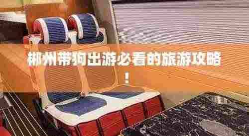 郴州带狗出游必看的旅游攻略!