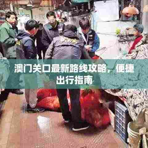 澳门关口最新路线攻略,便捷出行指南