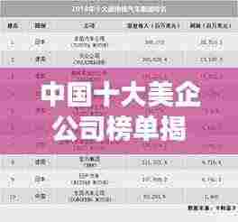 中国十大美企公司榜单揭晓,惊艳你的眼球!