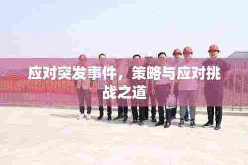 应对突发事件，策略与应对挑战之道