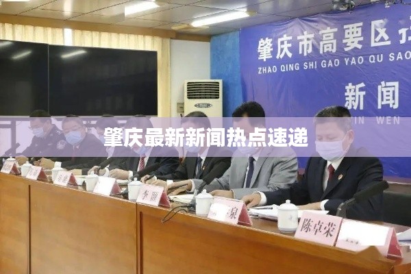 肇庆最新新闻热点速递