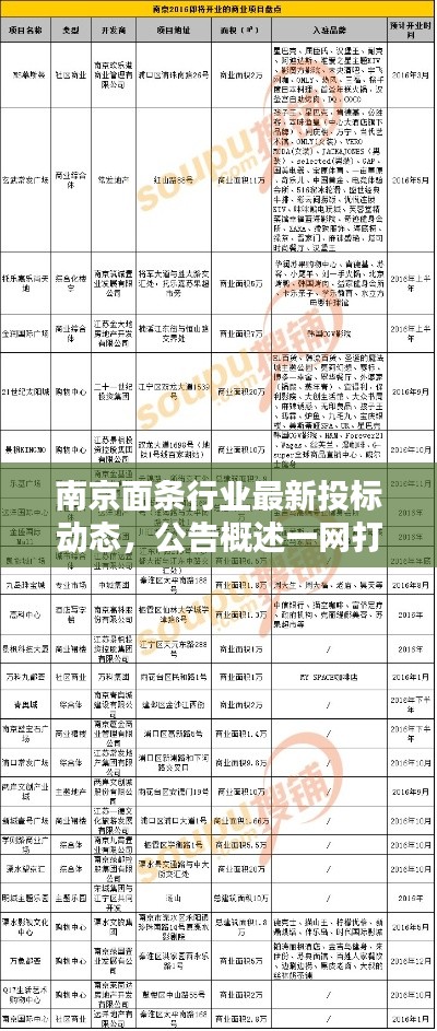 南京面条行业最新投标动态,公告概述一网打尽