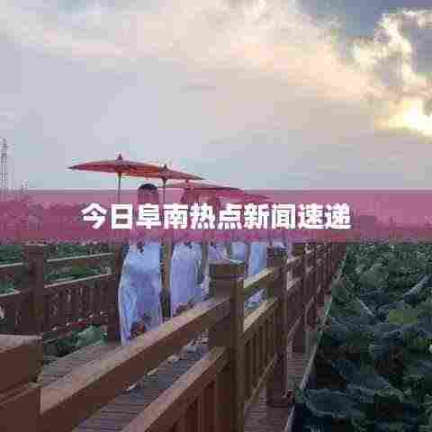 今日阜南热点新闻速递