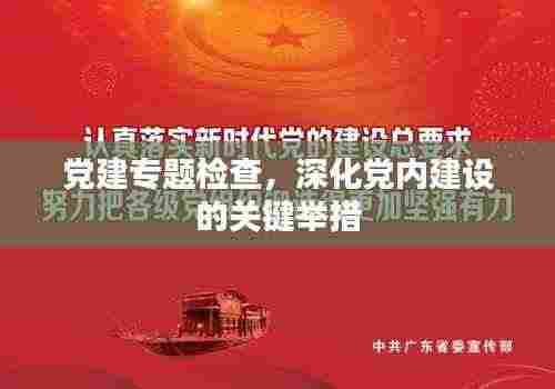 党建专题检查，深化党内建设的关键举措