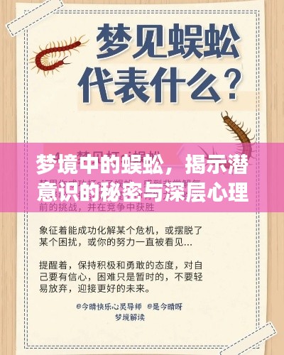 梦境中的蜈蚣，揭示潜意识的秘密与深层心理解读
