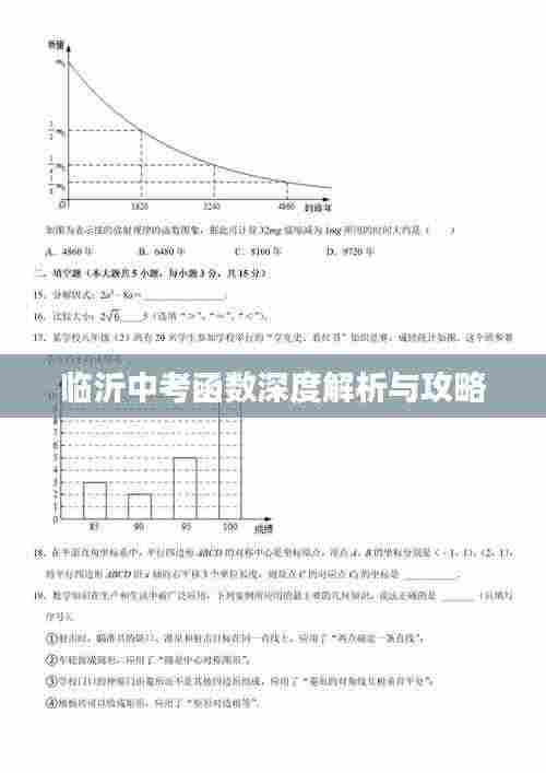临沂中考函数深度解析与攻略